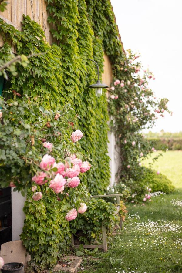 La Casa Vecchia B&B Camisano Vicentino Екстериор снимка