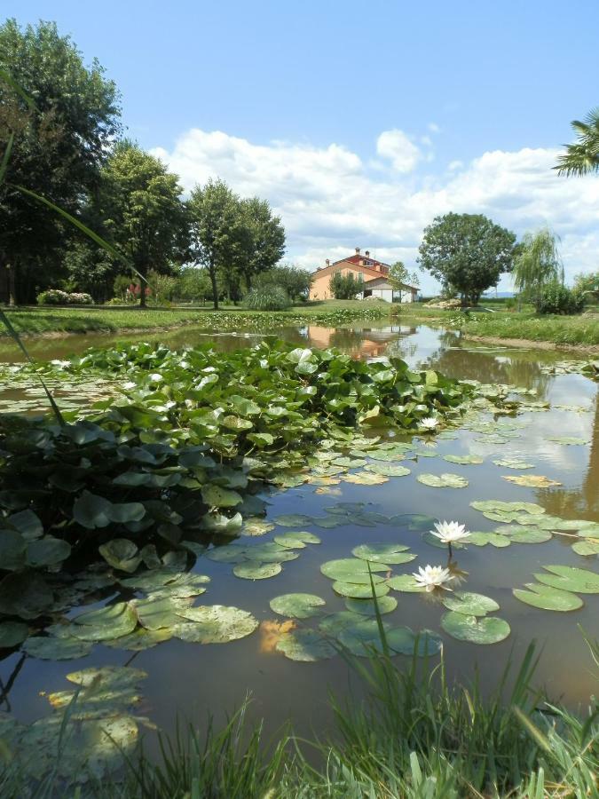 La Casa Vecchia B&B Camisano Vicentino Екстериор снимка